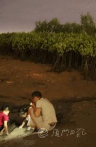 赶海圣地厦门,厦门周边赶海的最佳地点