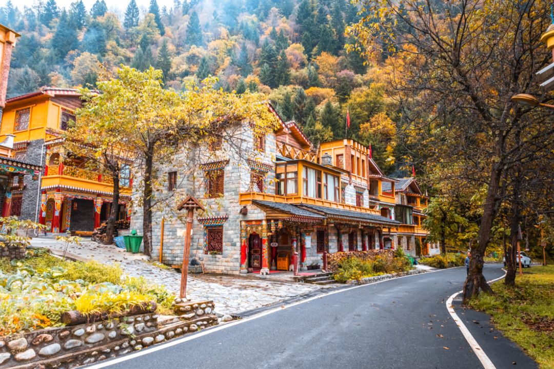 宸濊タ娴极鐨勫ぉ鑺辨澘,鏃嬭浆鏈ㄩ┈宸濊タ缇庢櫙