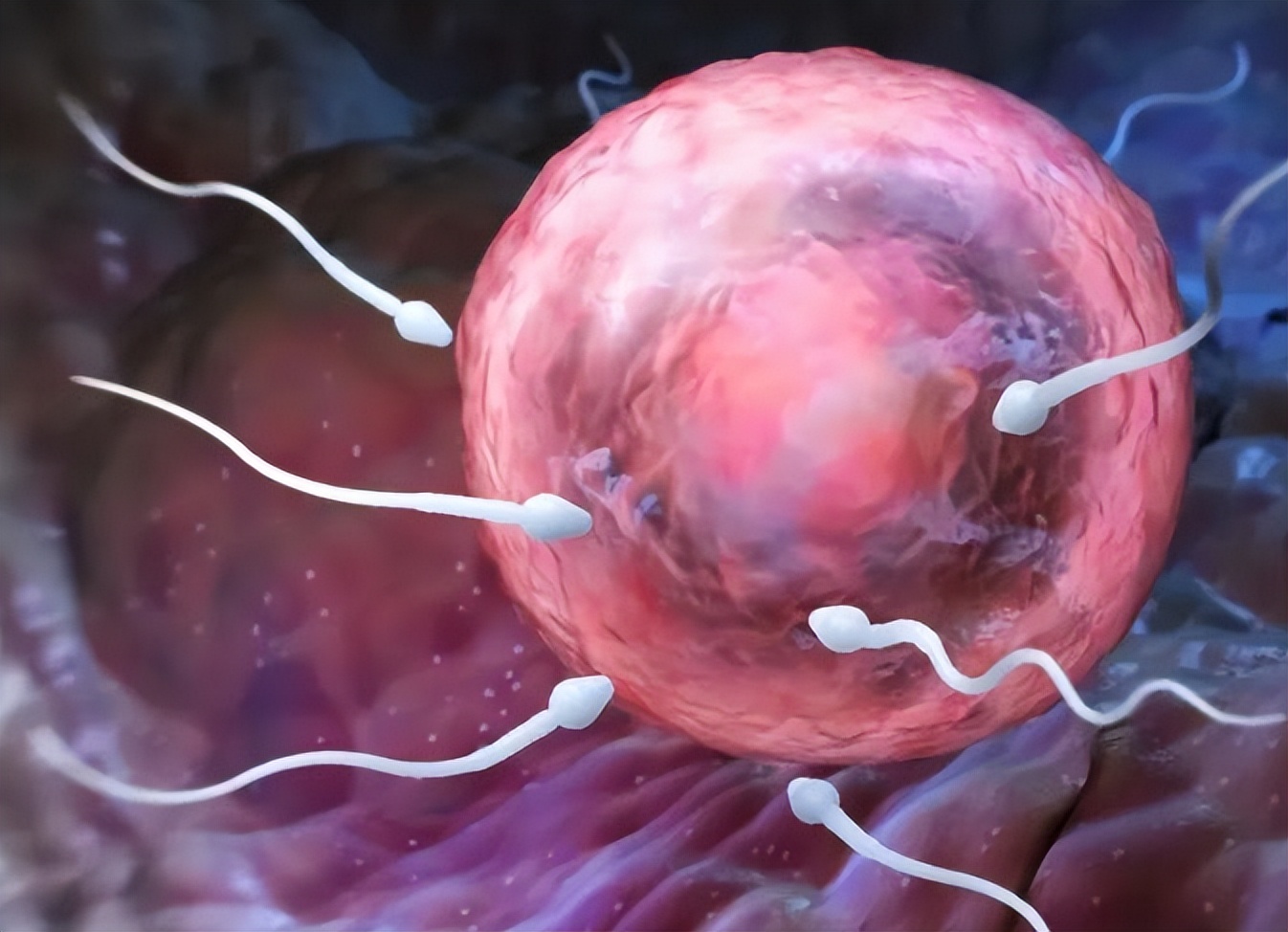 男人太久不排精，有什么影响？可能丧失生育能力？为了健康了解下