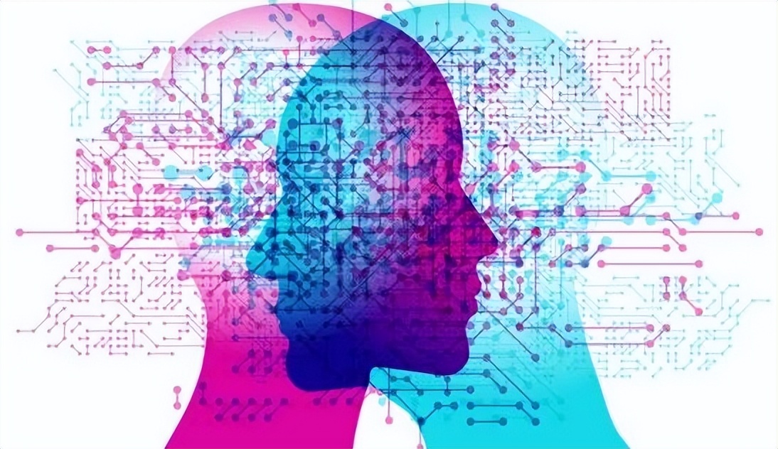 正常聪明的大脑,聪明跟大脑容量有关吗