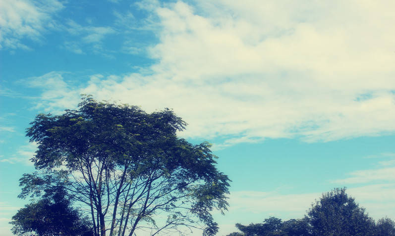 高考怎么逆袭2024,2023高考学生寒假如何逆袭