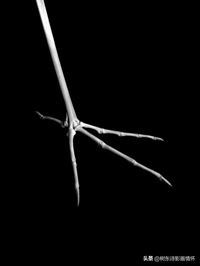 摄影美到极致令人一见倾心,旧景摄影别样美