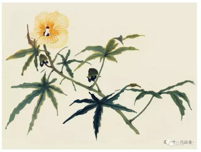 写意丁香花画法,写意鸡冠花的画法教程
