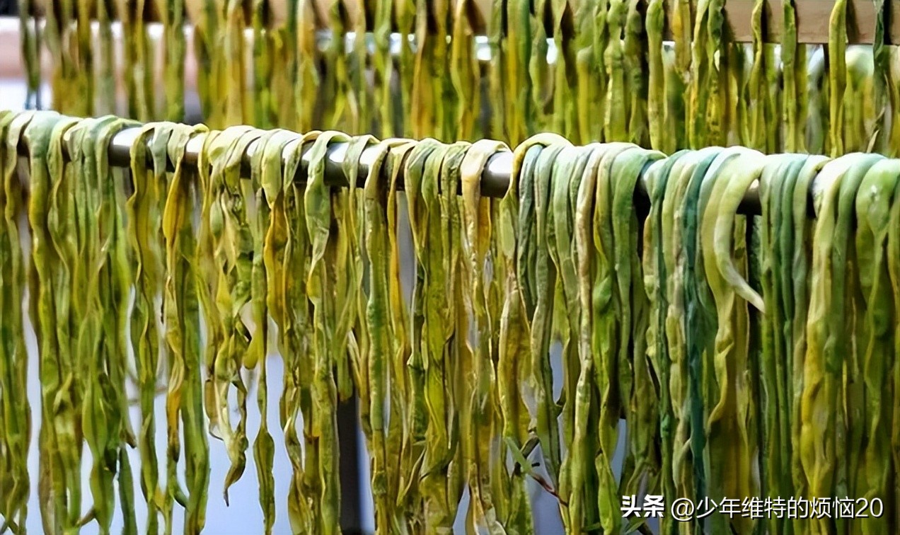 三伏天一定要吃这个菜,临近三伏最该吃这菜鲜嫩又营养