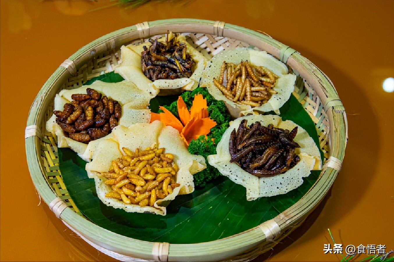 寻味地道云南菜,寻味云南傣菜餐厅