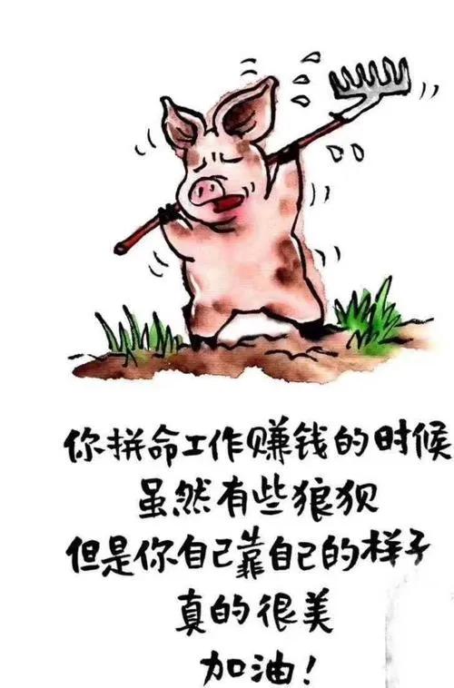 挣钱到底是为了什么句子,挣钱为了什么
