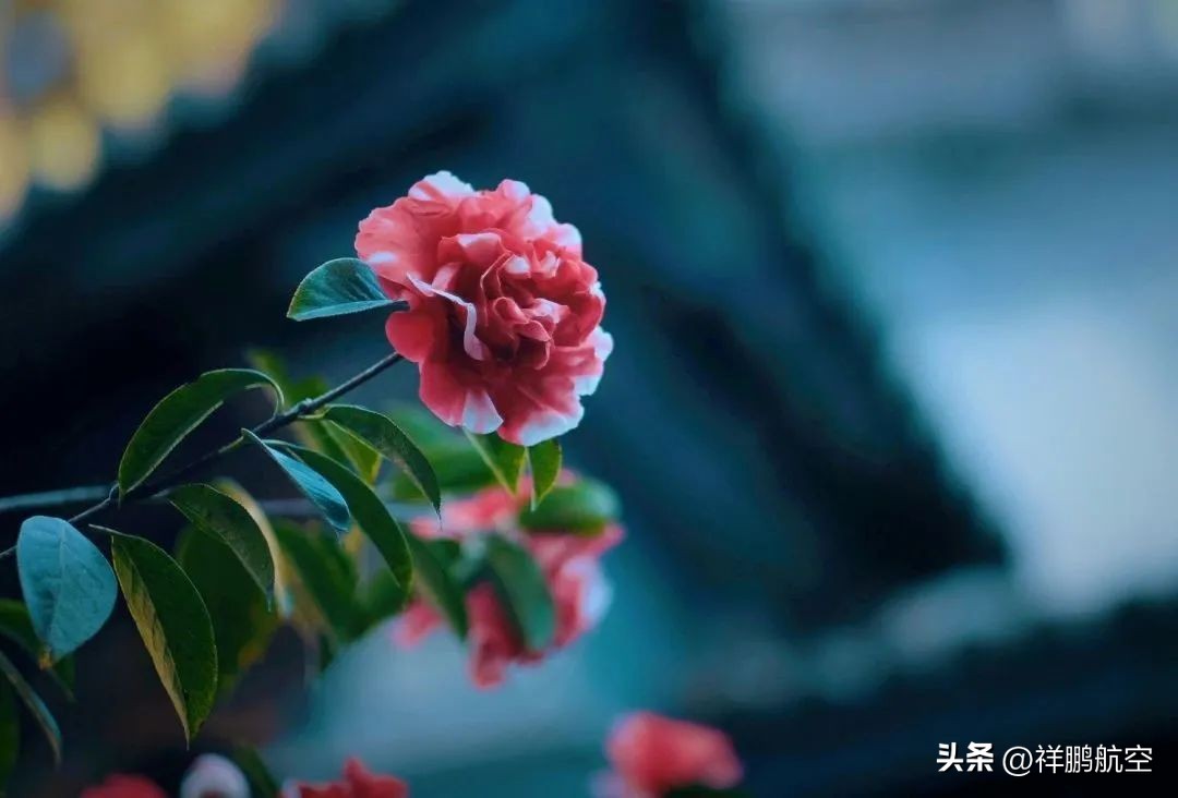 西安中转7小时,西安中转7小时可以去哪里