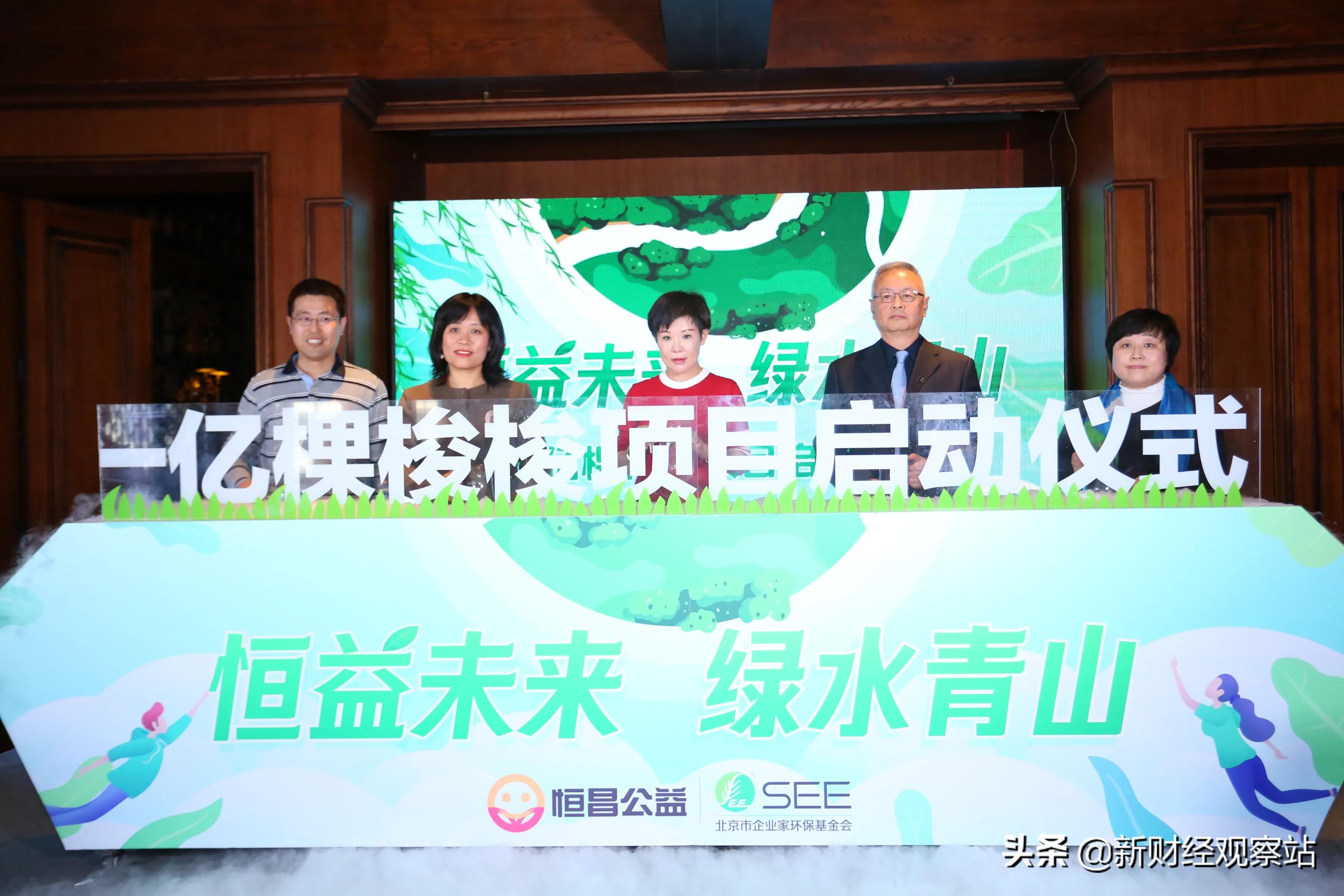 可持续发展愿景,可持续发展努力