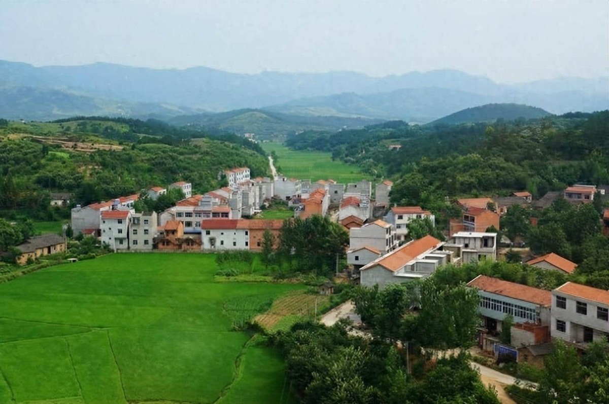 大姑姐问_今年你父母怎么没有寄家乡味给你？我说_没有以后也没有