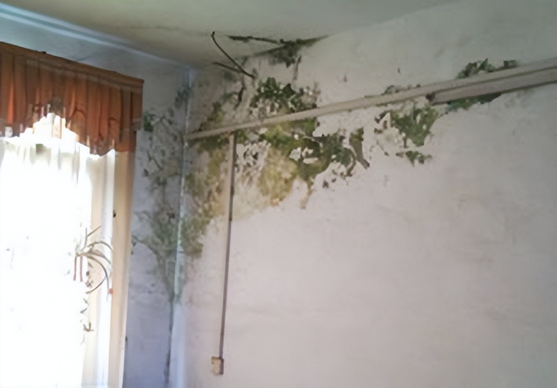 客厅天花板渗水又突然不渗水了,天花板渗水要修吗