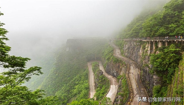 2022年张家界重点项目有哪些,2022年去张家界旅游都是需要什么