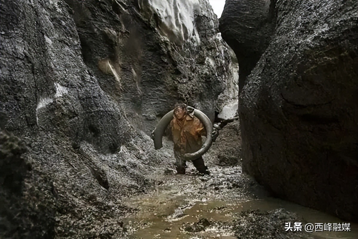 为什么杀死大象才能取象牙,为什么要杀大象拿象牙