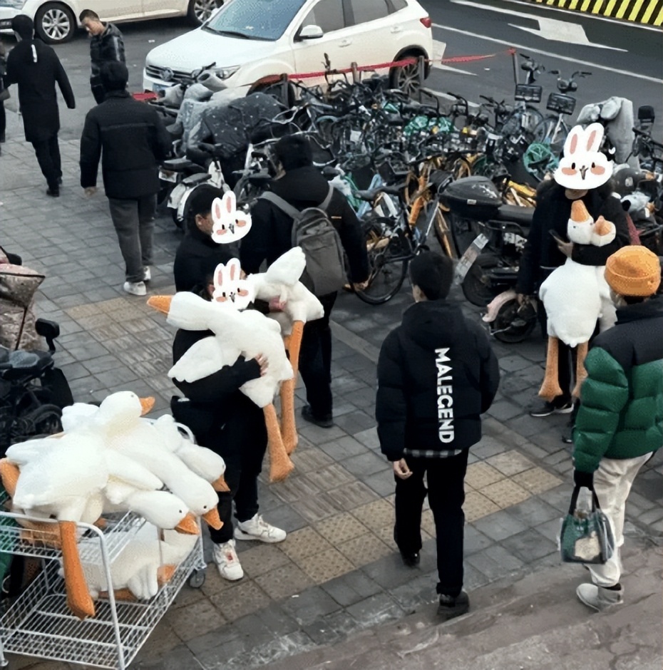 路边扫码领取大白鹅是套路吗,警惕扫码领大鹅
