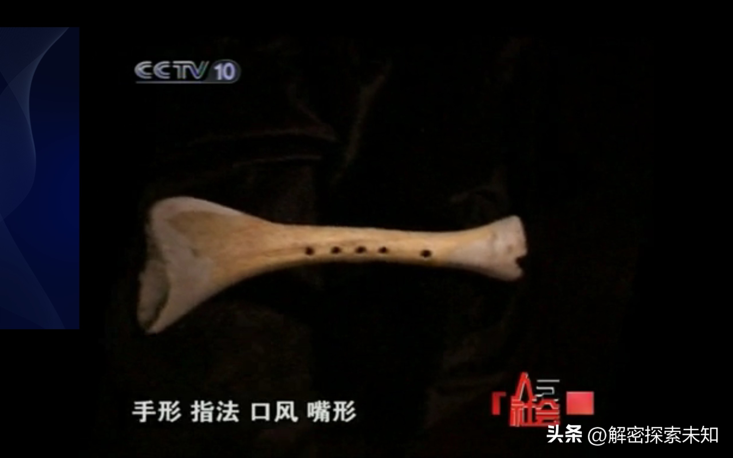 甲虫进化史讲解,甲虫进化史哪些虫真实存在