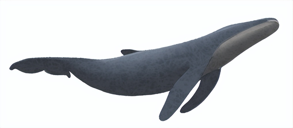 伤心银行人的13次公考