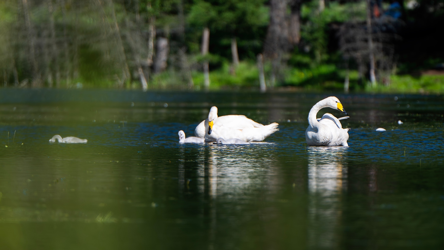 领略“可汗之湖”尼康小三元*疆新**试用手记