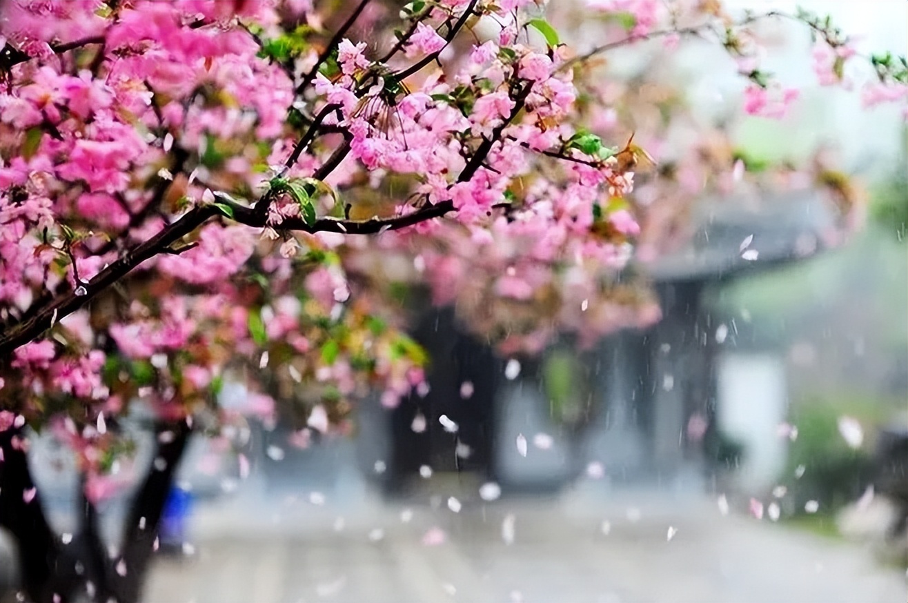 微信上从不发朋友圈的女人，不是低调，十有八九是五种人