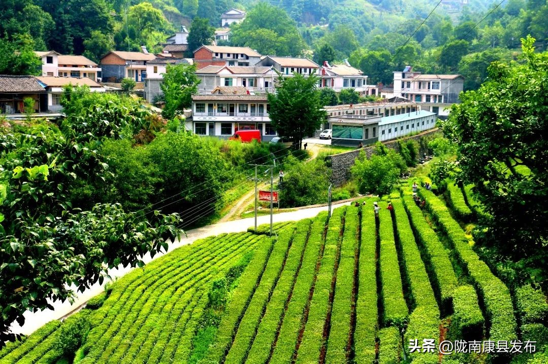 五一康养之旅,康养景区五一