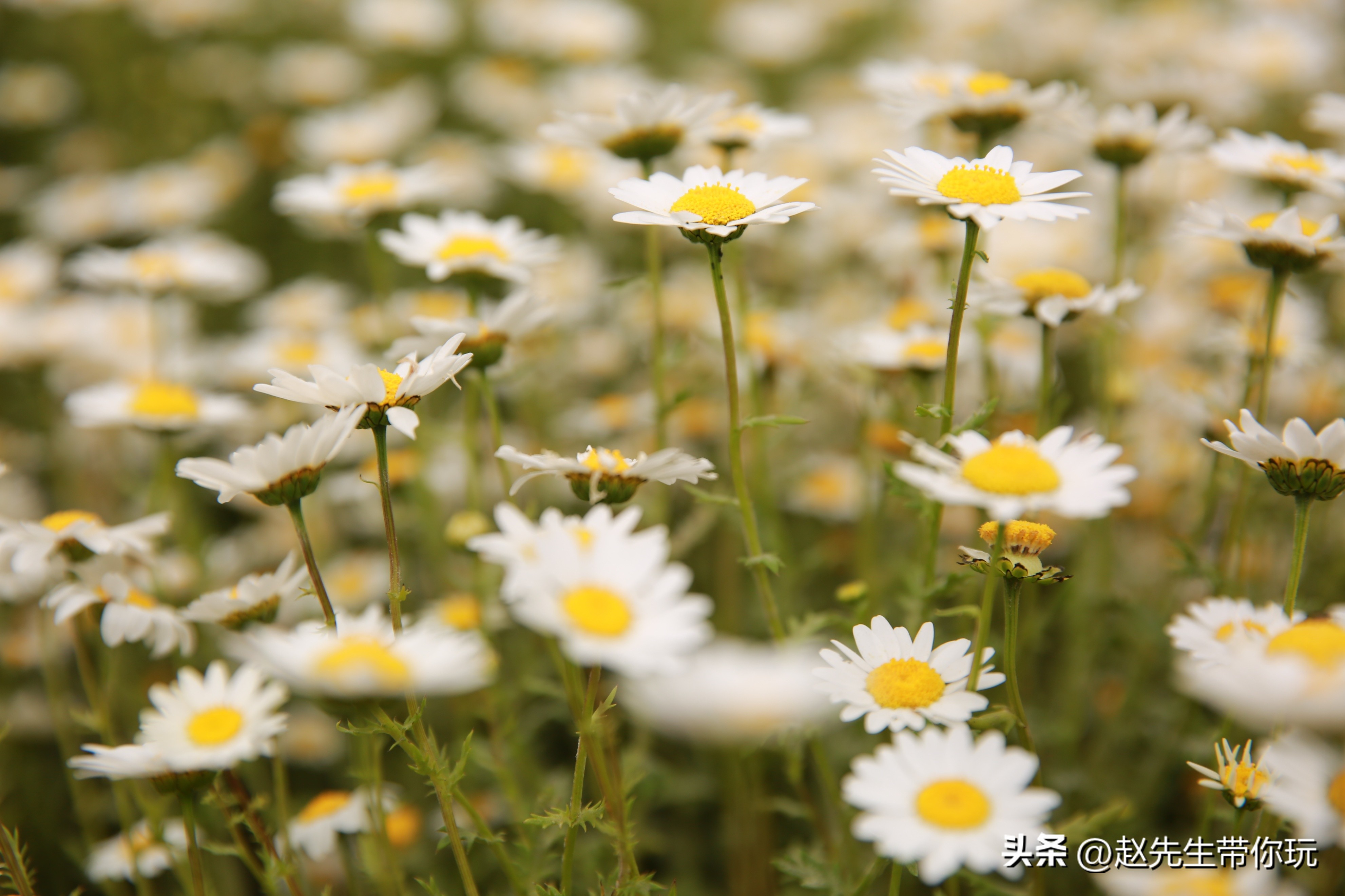 20年旅行总结,二十年游历分享