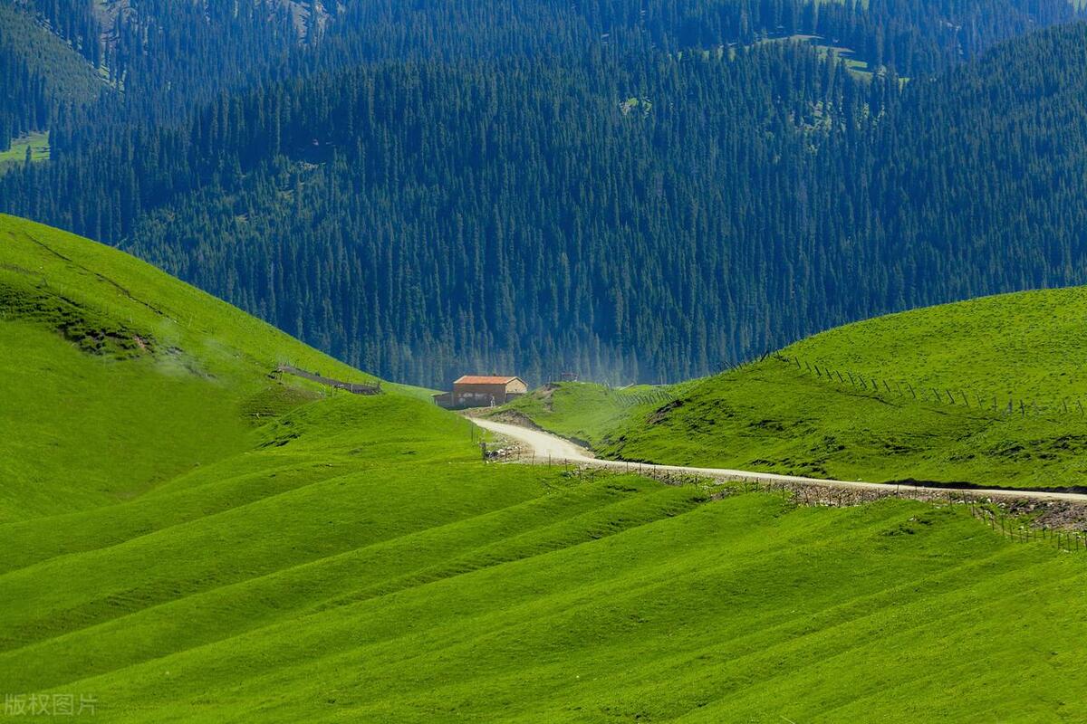 去丹东旅游需要办理边防证吗,新疆旅游边防证应该填写哪些地方