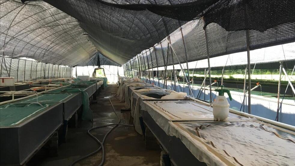 水蛭立体养殖箱制作材料,牡丹江水蛭立体养殖