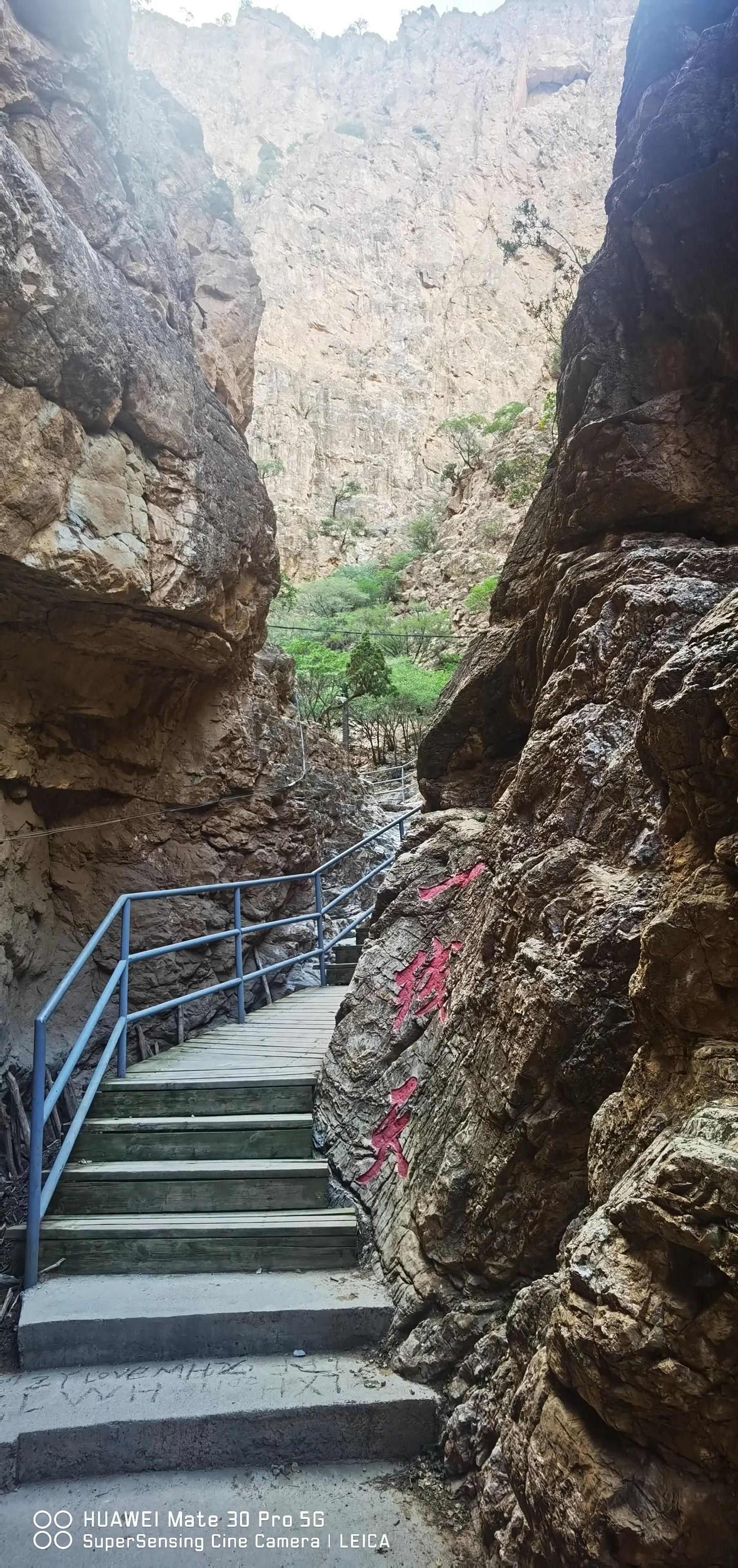 银川我来了视频,宁夏我来了完整视频