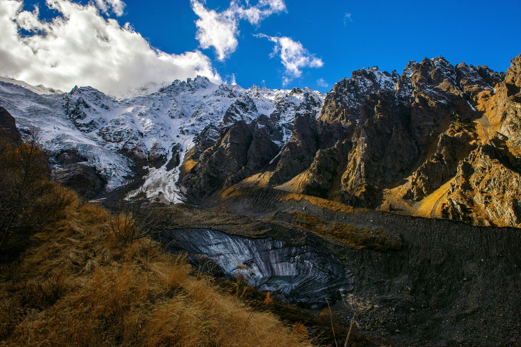 一个月高加索什么样子,黄色高加索什么样子