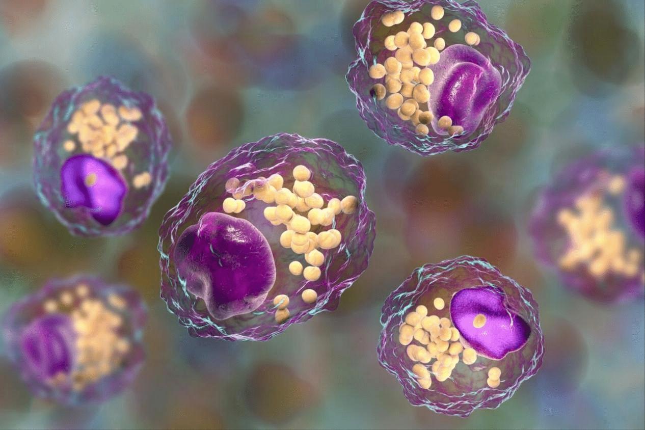 卵细胞和精子相遇会有什么变化,精子一二小时内会出现什么变化