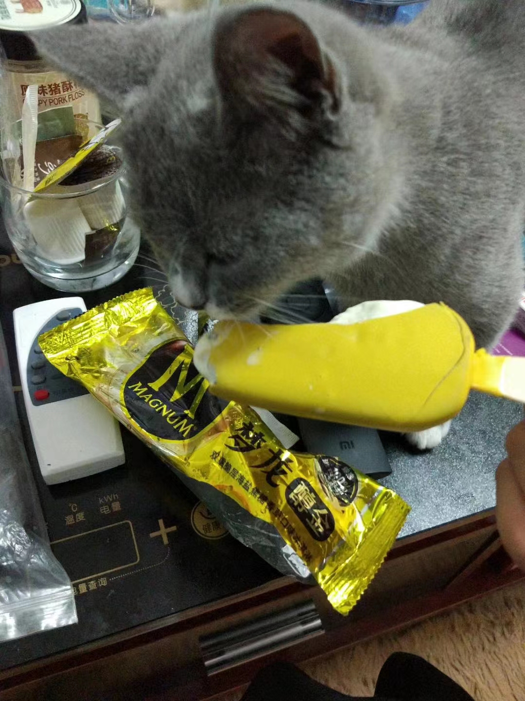 养猫记全集播放,恋猫记2