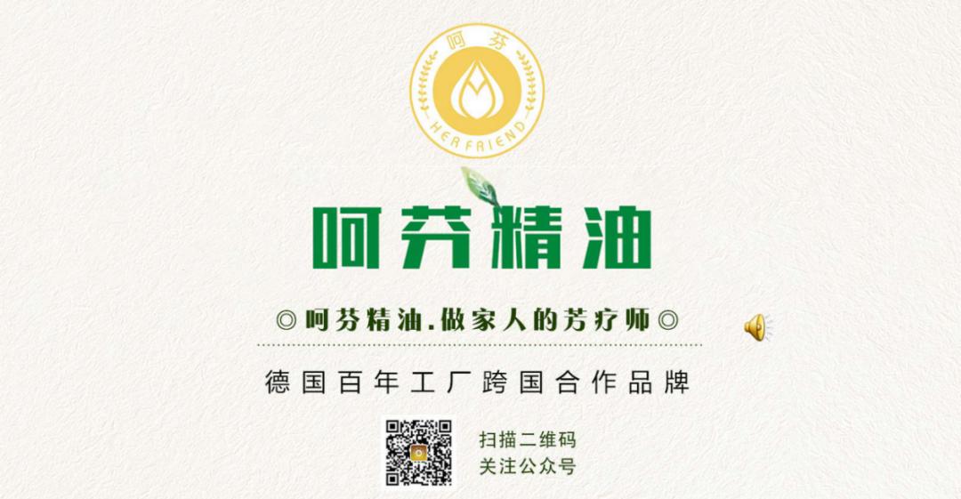 夏天家里蚊虫多教你一招不用蚊香,怎么驱蚊虫室内没有蚊香