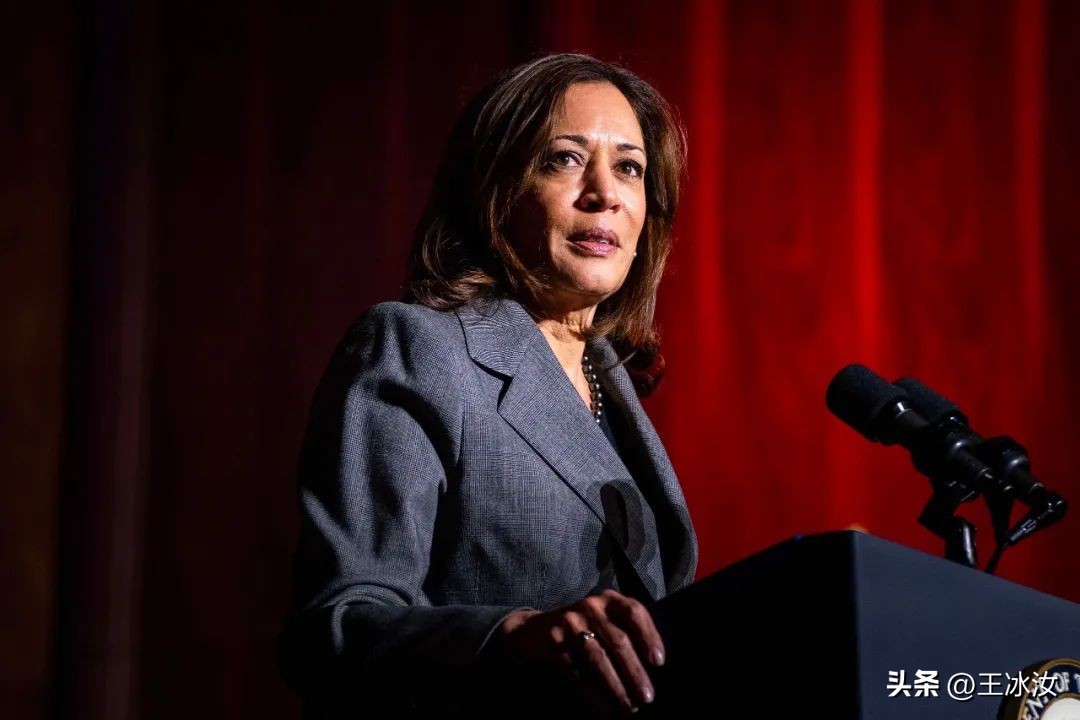 揭秘印裔在美国崛起的“快速通道”！印度人当选美总统一步之遥？