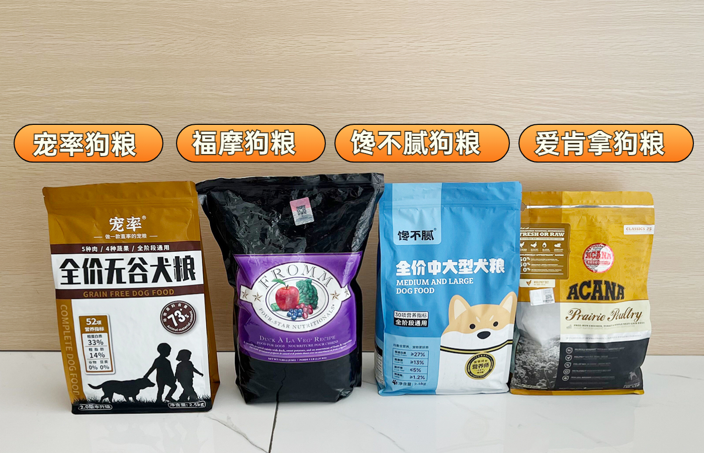 养比熊犬的缺点和优点,适合养比熊犬的人都具备这些特征