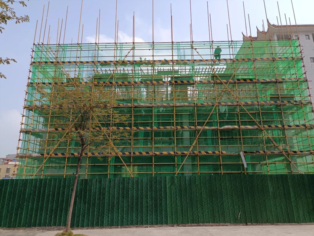 学校基础教育高质量发展三年规划,基础教育高质量发展建议和意见