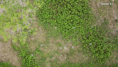 浙大人工智能空中机器人,浙大团队研究无人机新算法