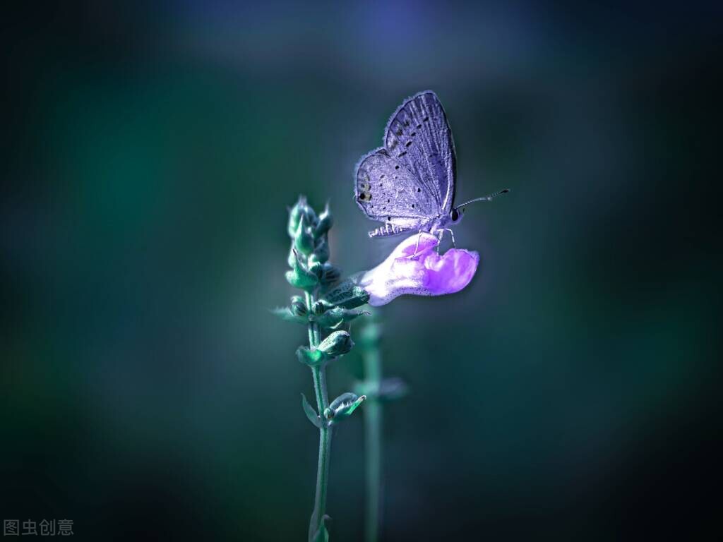 经典语录感悟人生短句朋友圈,经典说说人生感悟短句文案