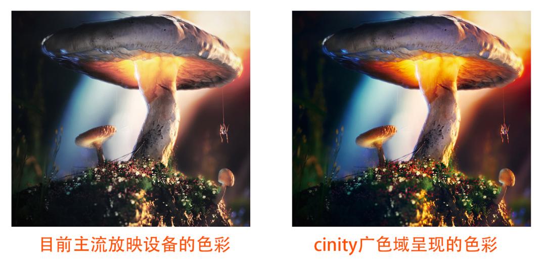 阿凡达2哪种影厅观影效果最好,阿凡达2内地定档博纳