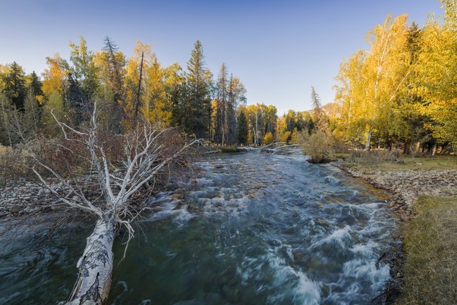 可可托海传奇疆菜,信马游疆可可托海