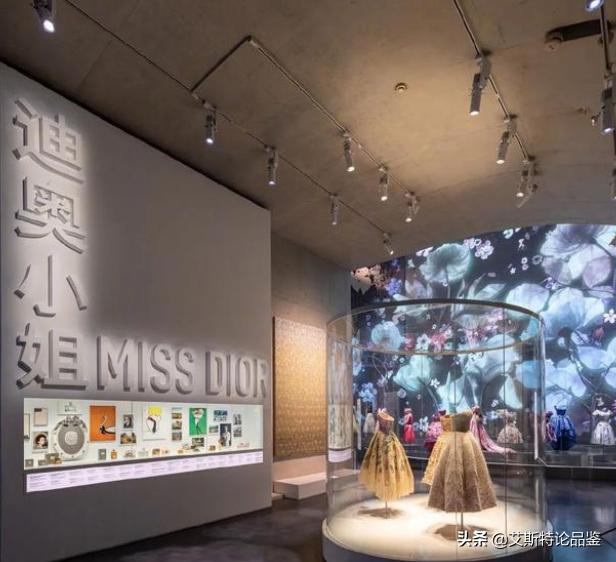 迪奥职业生涯,迪奥的人生经历