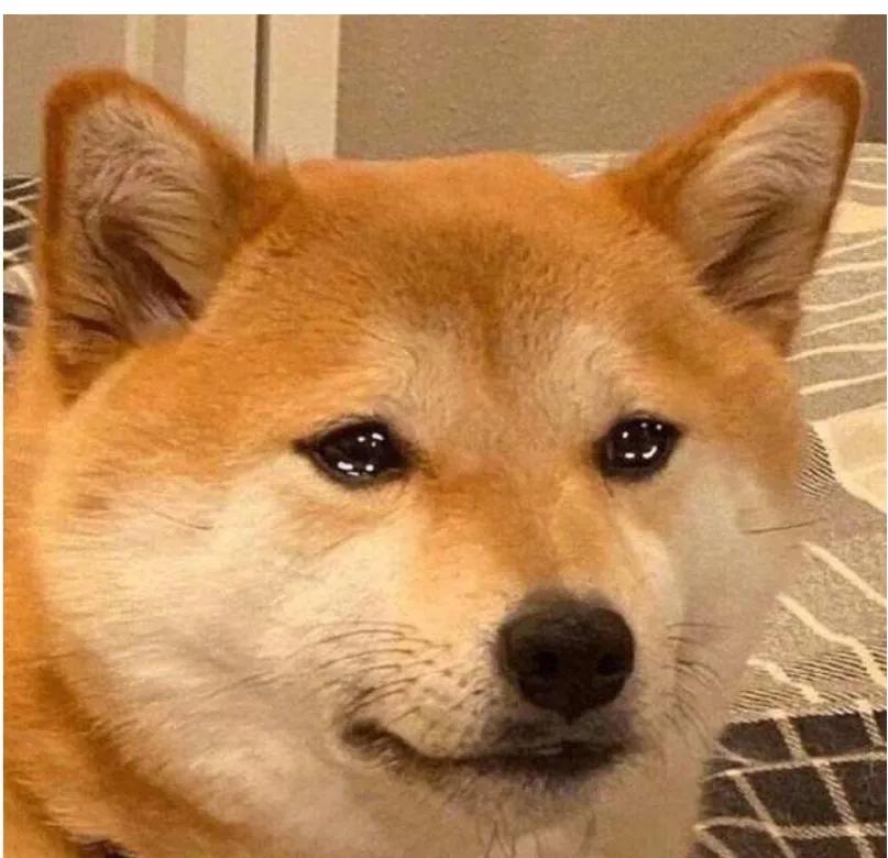 衣服撑不起来是什么样子的,衣服撑不起来的视频