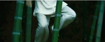 安吉旅游度假,安吉好玩还是千岛湖好玩