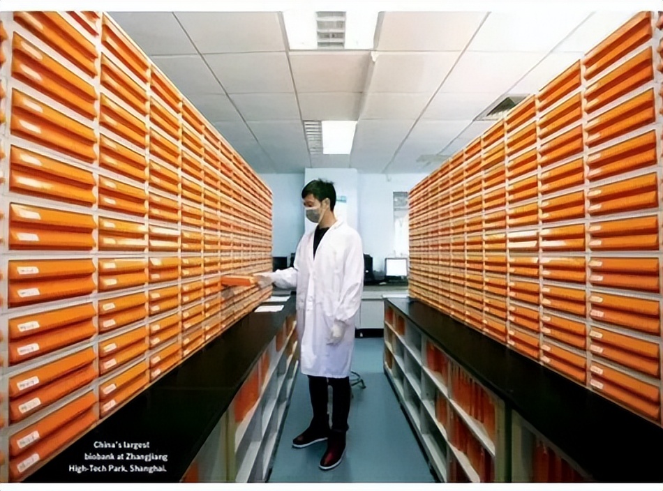 全案复盘国内顶尖生物科技企业上海张江生物策划与设计