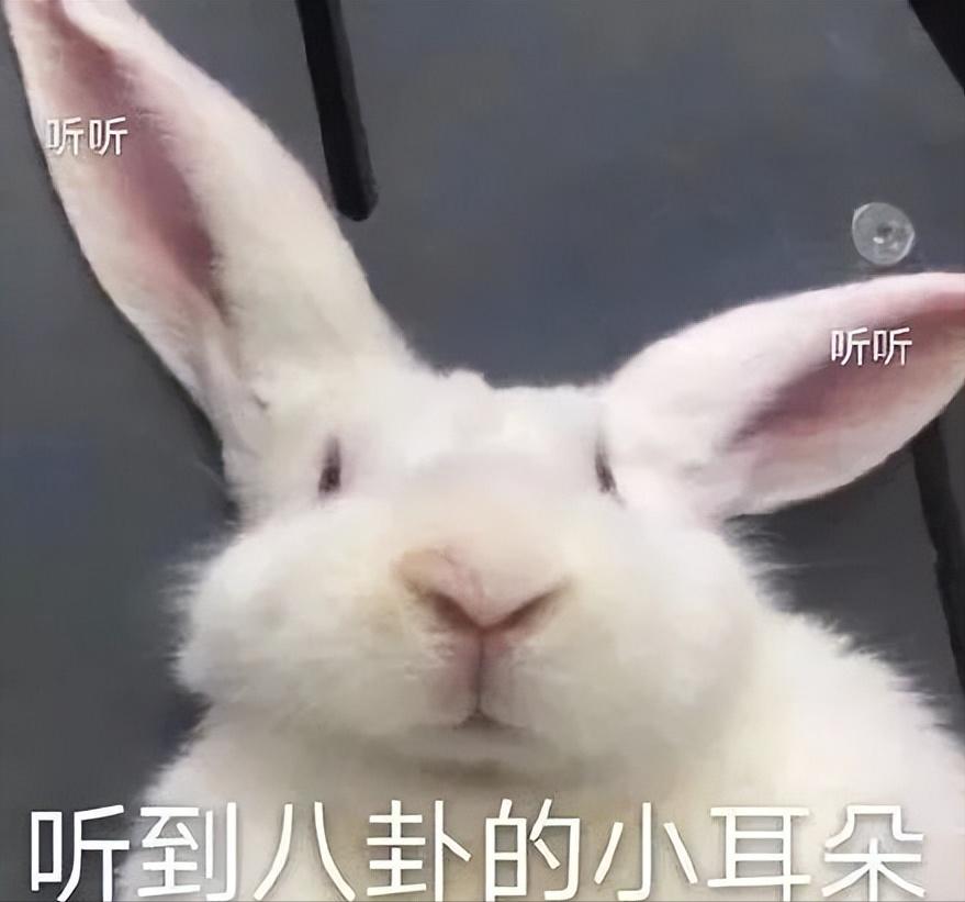 林心如价值三个亿项链 (林心如花3亿买条项链)