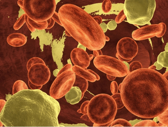 国产降压新药阿利沙坦酯,降压药阿利沙坦酯片的副作用