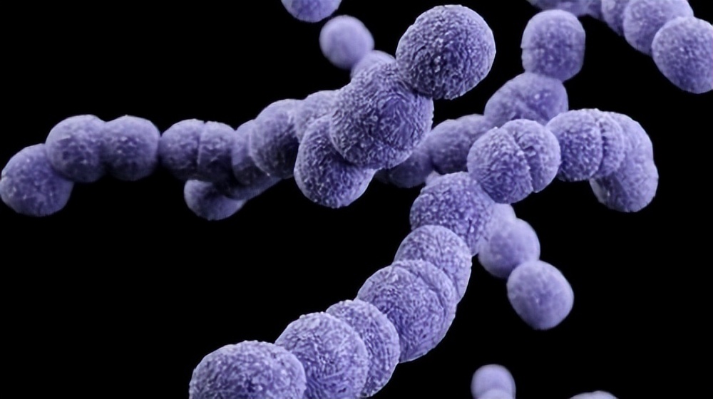 小儿急性肾小球肾炎致病菌,引起急性肾小球肾炎的病原体是