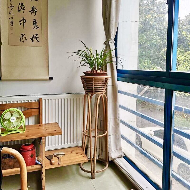 养兰花心情是愉悦的,养兰花对感情有帮助吗