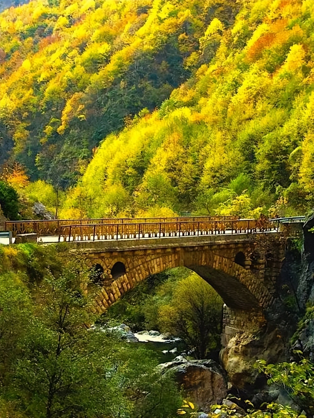 欣赏｜这七种色彩，装点了红尘人间！