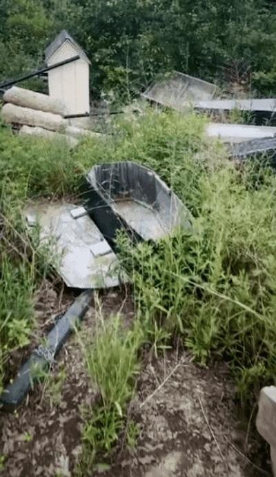 閲忓瓙鍔涘杞欢鎺ㄨ崘,閲忓瓙鍔涘杞欢