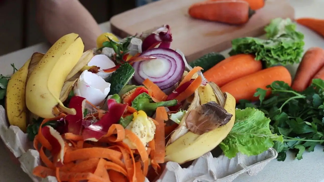 引人不适的蟑螂,让人细思极恐的蟑螂