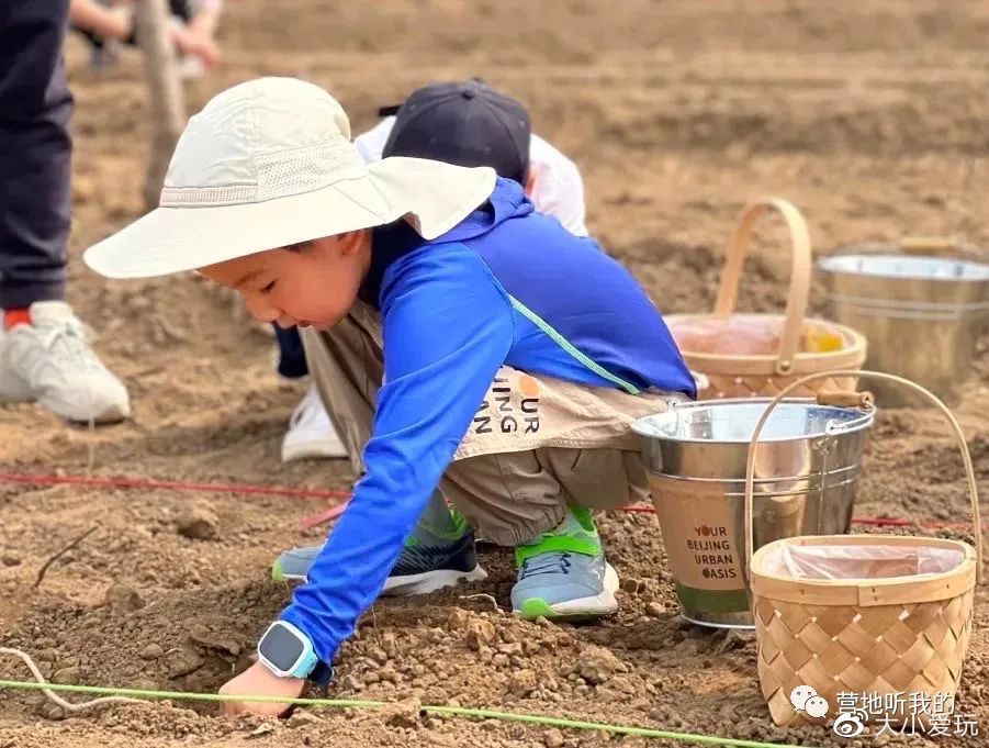 北京适合孩子玩的农场,一年四季都可以去的亲子农场