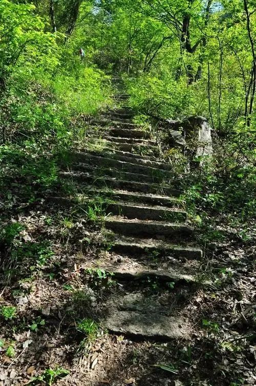 古禹州杨寨街土地爷贪吃故事:脚不沾地回家